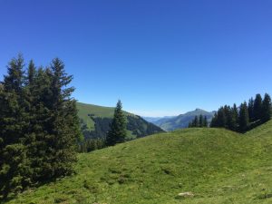 IMG_0784