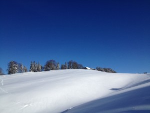 Das Bergtraining mit dem Velo hat sich gelohnt:-)