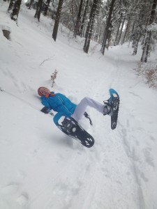 Das anschliessende Schneeschuhlaufen....