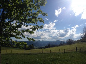 IMG_1923