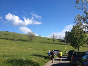IMG_1925