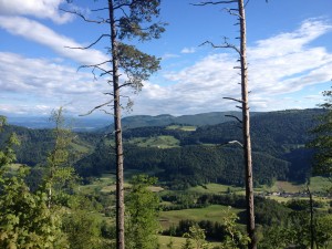 IMG_1927