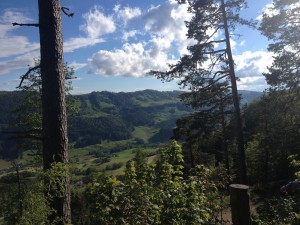 IMG_1928
