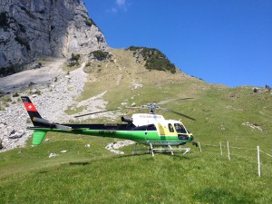 IMG_2076