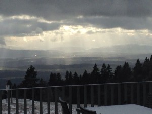 IMG_6340