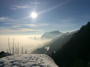 IMG_6981