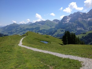 Umgebung 1